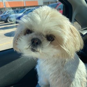 Meet your Posher, Julia